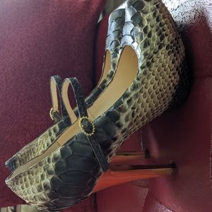 Massimo dogama 4" snakeskin shoes